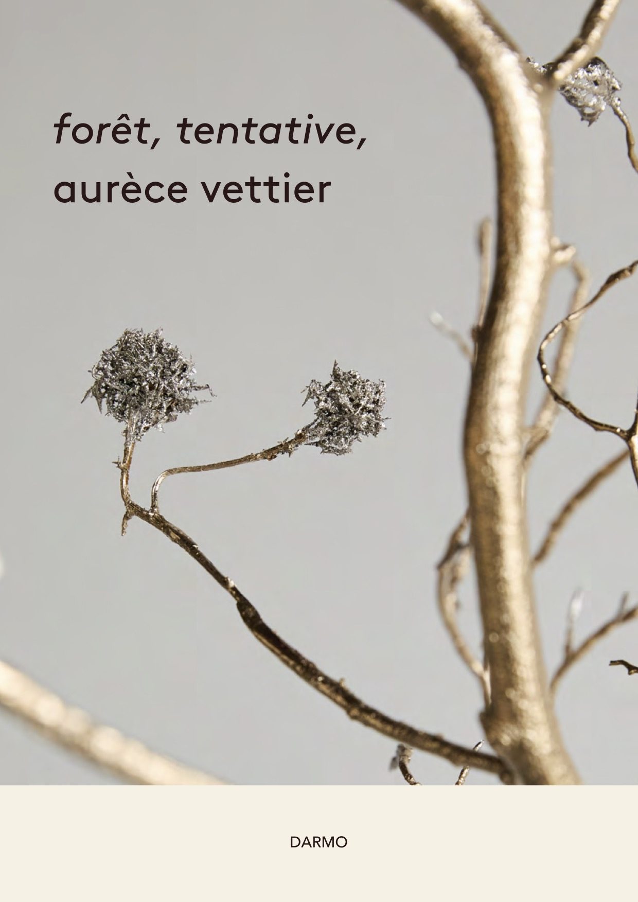 forêt, tentative, ── カバー、Darmoより2024年発行、Viola LukácsおよびStudio Ingmarとともに