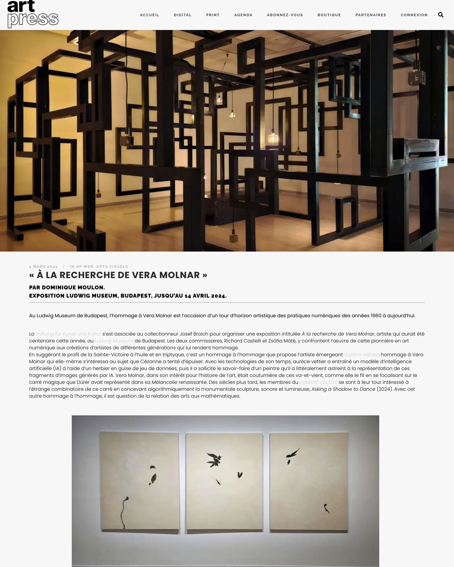 寻找薇拉·莫尔纳 —— 杂志封面,由Artpress出版,2024年,作者:Dominique Moulon