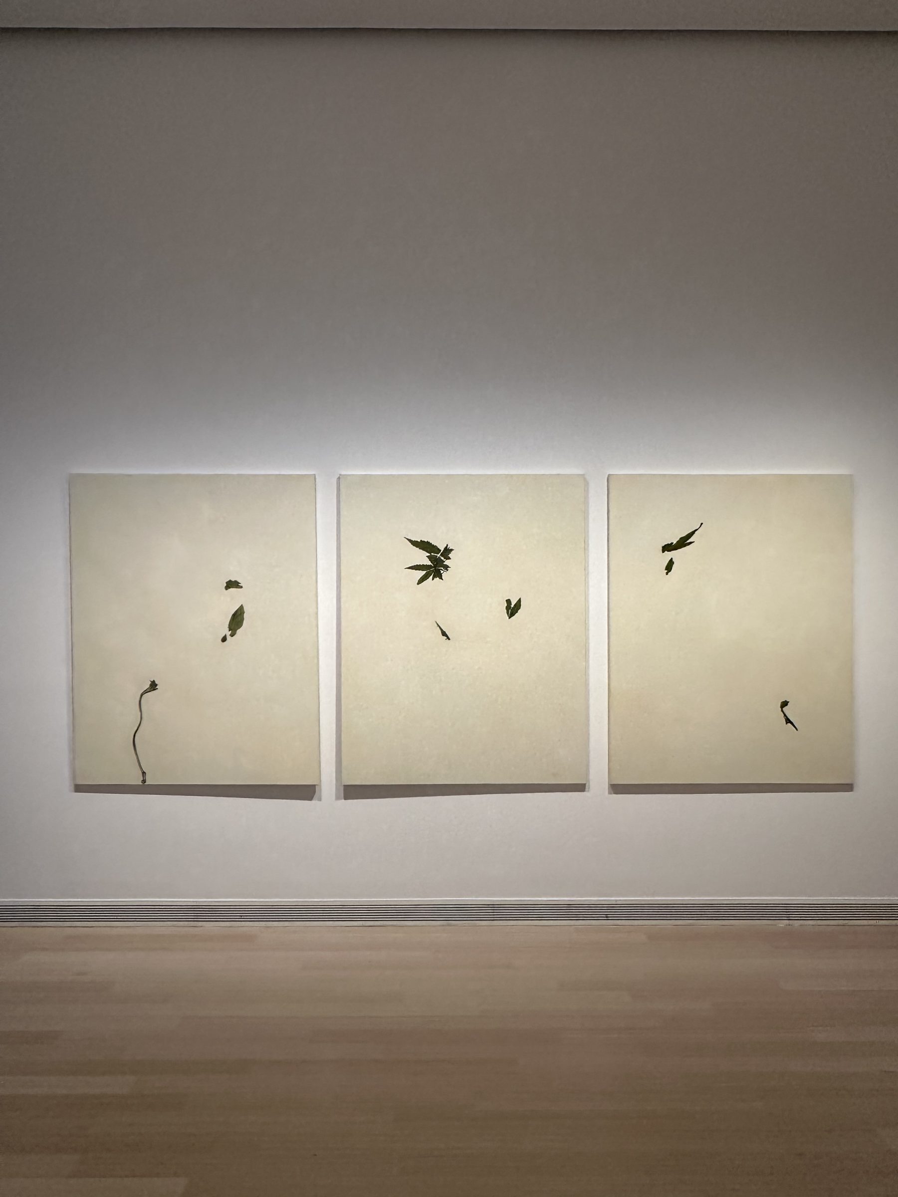 설치 전경, 《À la recherche de Vera Molnár》, Ludwig Museum, 부다페스트, 2024