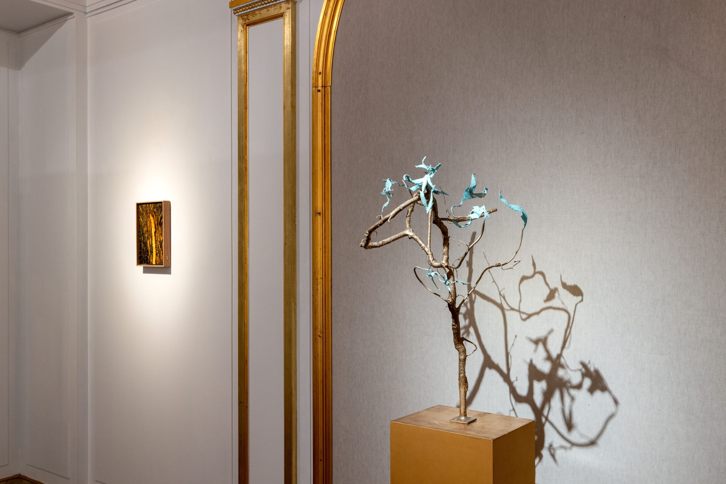 「Circular Ruins」展示会の展示風景、Darmo & Gismondiで開催された展示会、キュレーション：Dayneris Brito、パリ、2022年