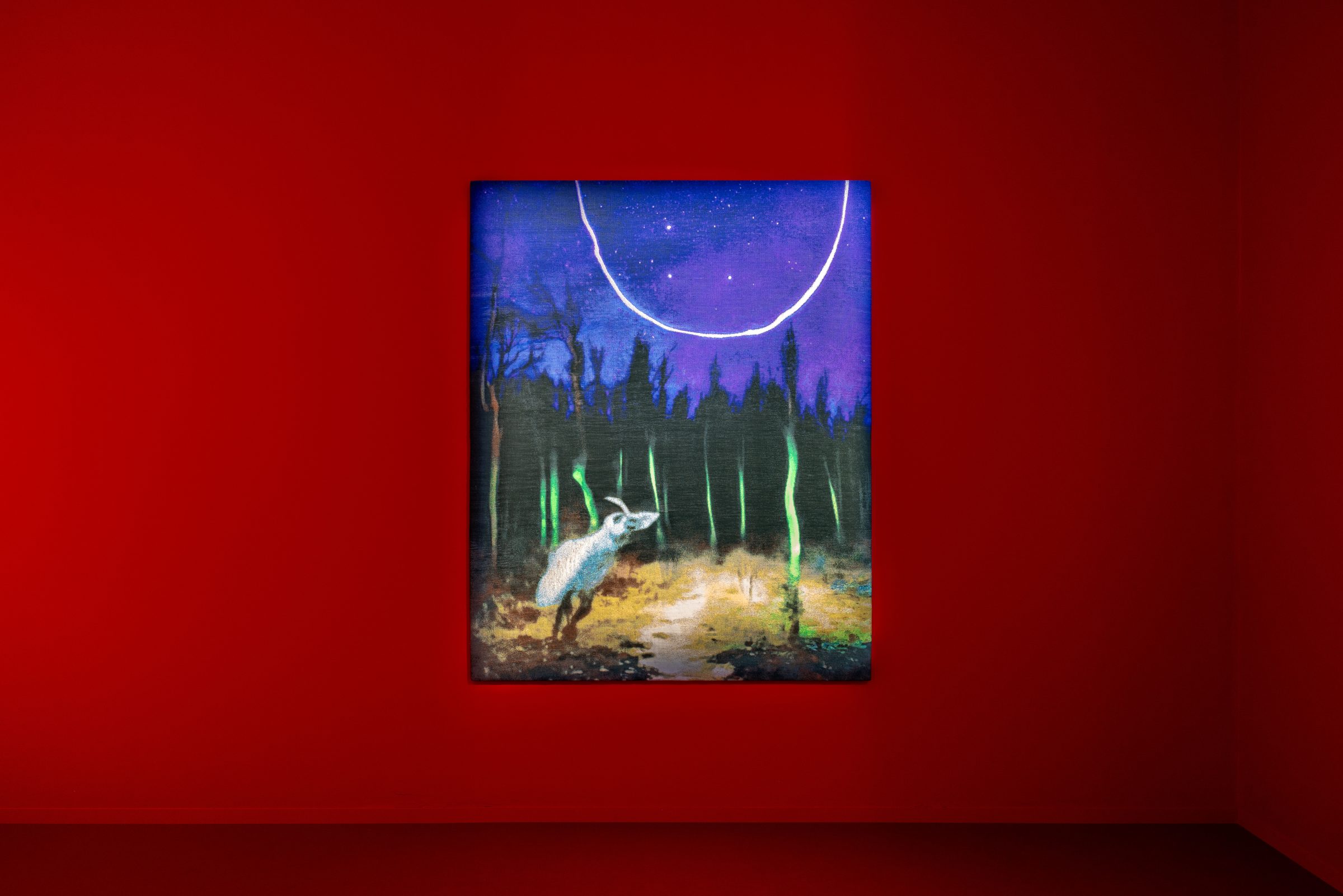 「過去の響き、未来の約束」展示ビュー、macLYONでの展示、Marilou Laneuvilleキュレーション、リヨン、2025年