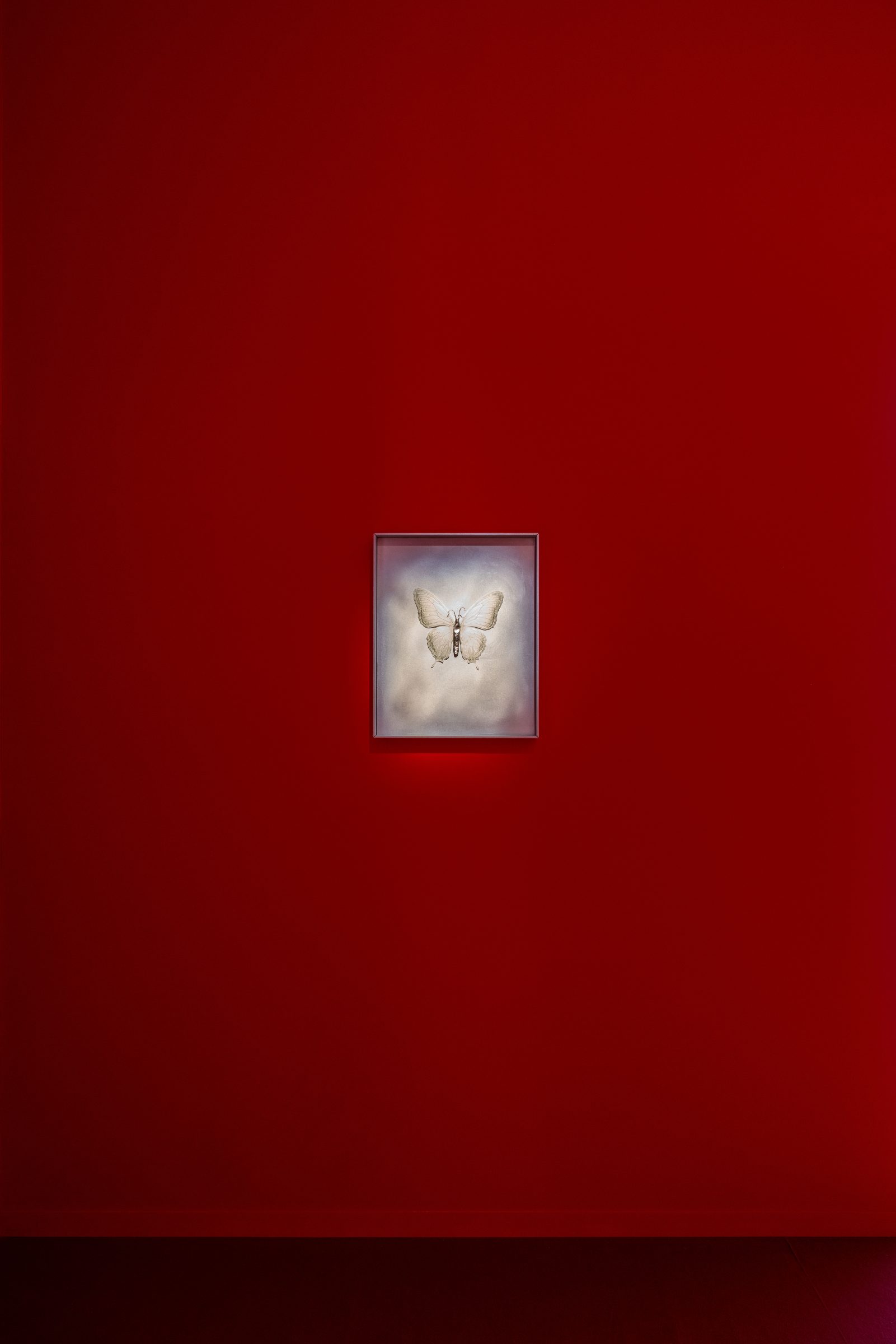 「過去の響き、未来の約束」展示会ビュー、2025年リヨン、Marilou Laneuvilleキュレーション、macLYON開催