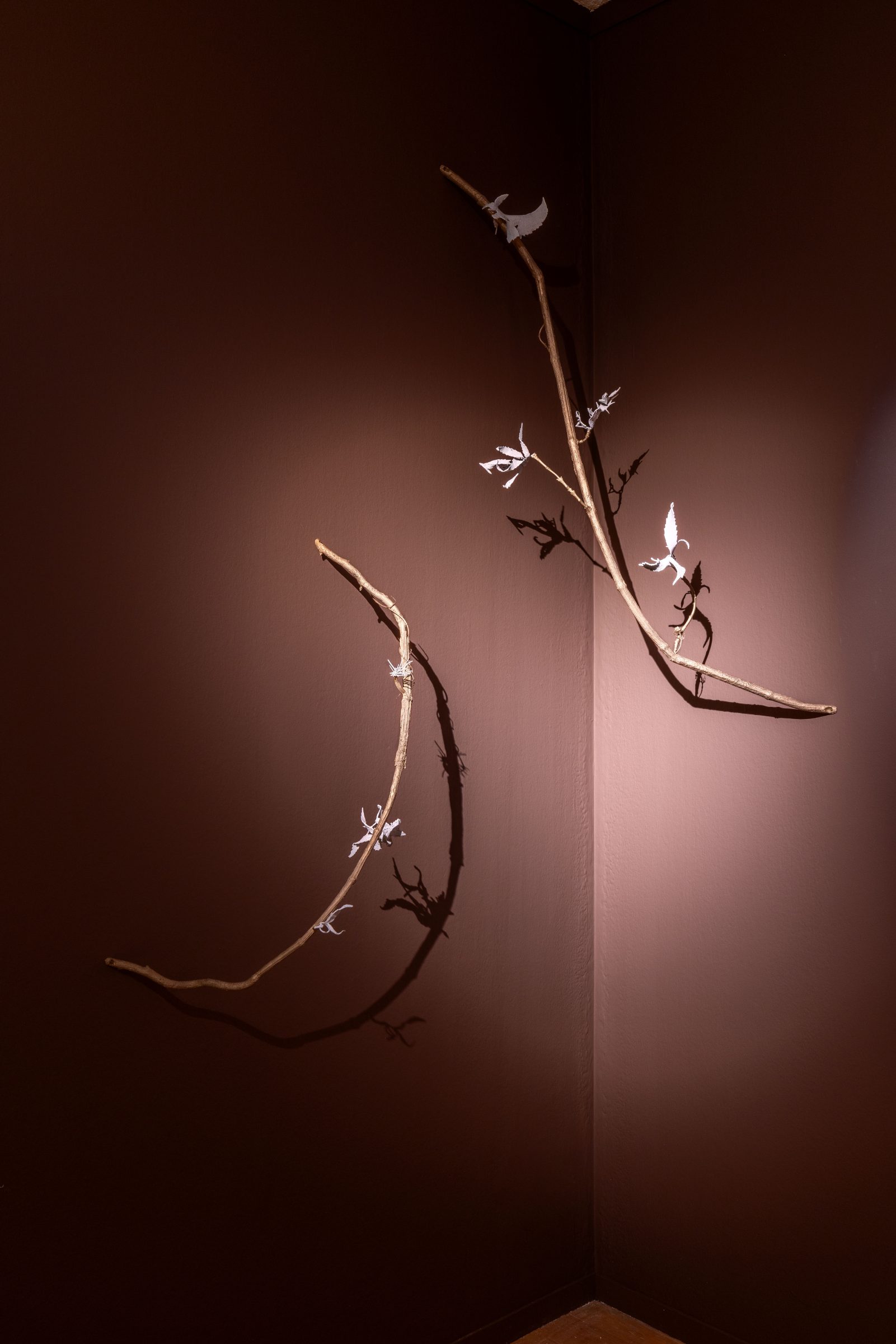 「過去の響き、未来の約束」展覧会の展示風景。macLYON での展覧会、Marilou Laneuville キュレーション、リヨン、2025年