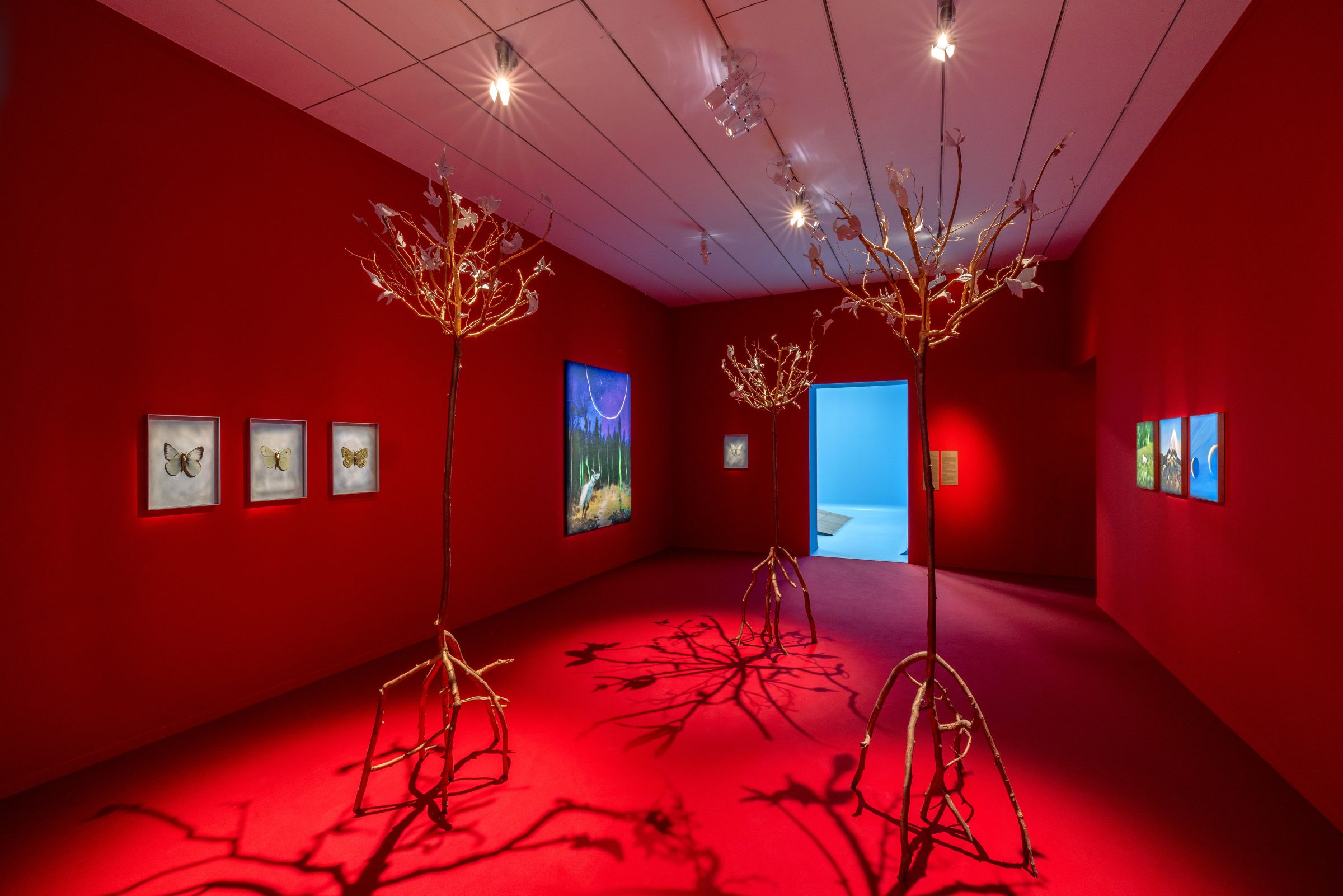 「Echoes of the Past, Promises of the Future」展示風景、macLYONにて開催、キュレーター:Marilou Laneuville、リヨン、2025年