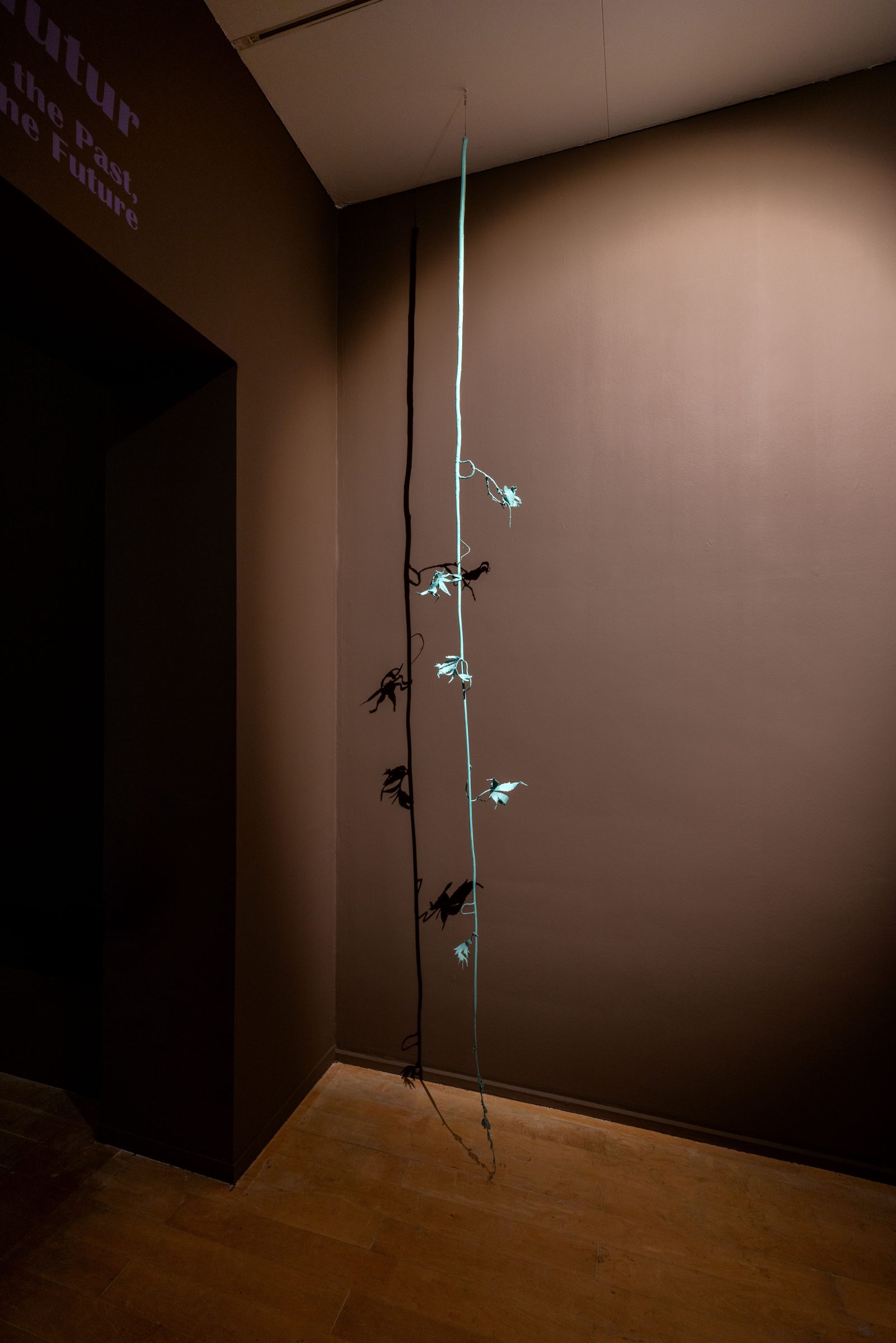「過去の反響、未来の約束」展の展示風景、macLYONでの展覧会、キュレーター：Marilou Laneuville、リヨン、2025年