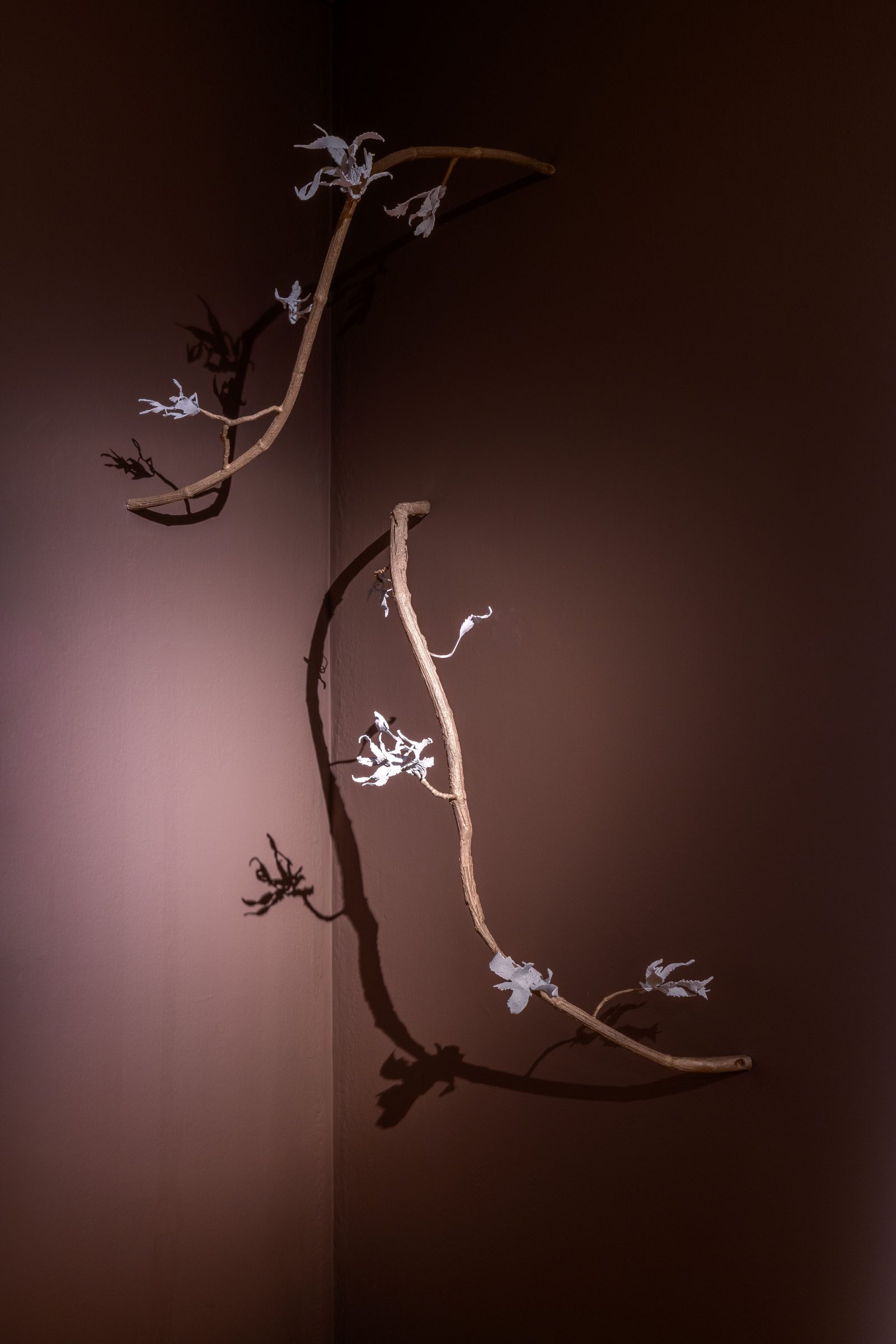 「過去の響き、未来の約束」展示会の展示風景。macLYONでの展示会、Marilou Laneuvilleキュレーション、リヨン、2025年