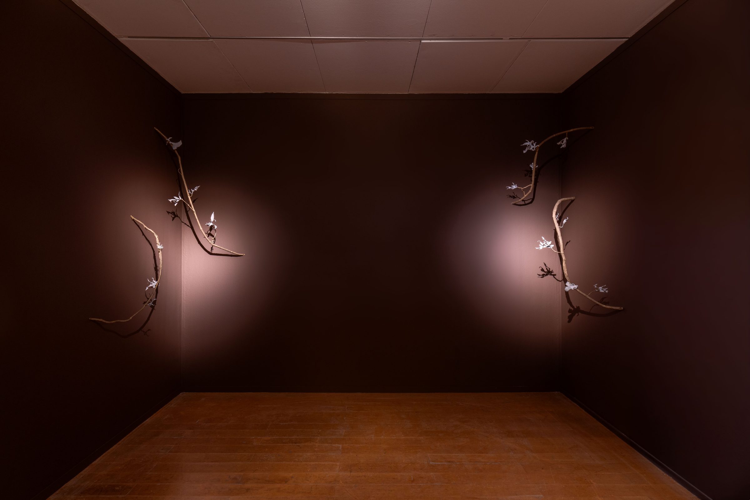 「過去の響き、未来への約束」展示ビュー、macLYONでの展示、Marilou Laneuvilleキュレーション、リヨン、2025