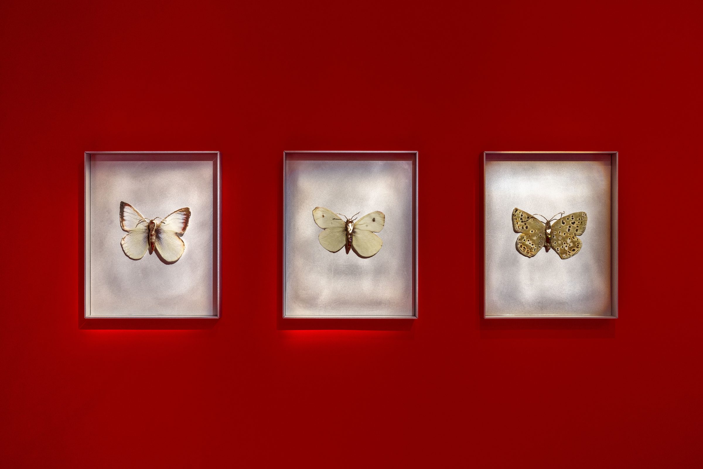 「Echoes of the Past, Promises of the Future」展示風景、macLYONにて開催、キュレーター:Marilou Laneuville、リヨン、2025年