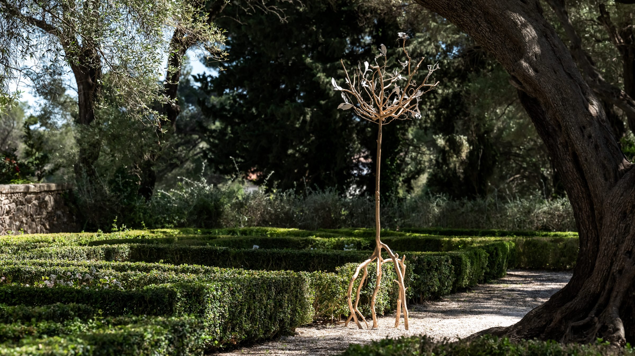منظر من المعرض "forêt, tentative,"، معرض في Darmo، Bastide du Roy، أنتيب، 2024
