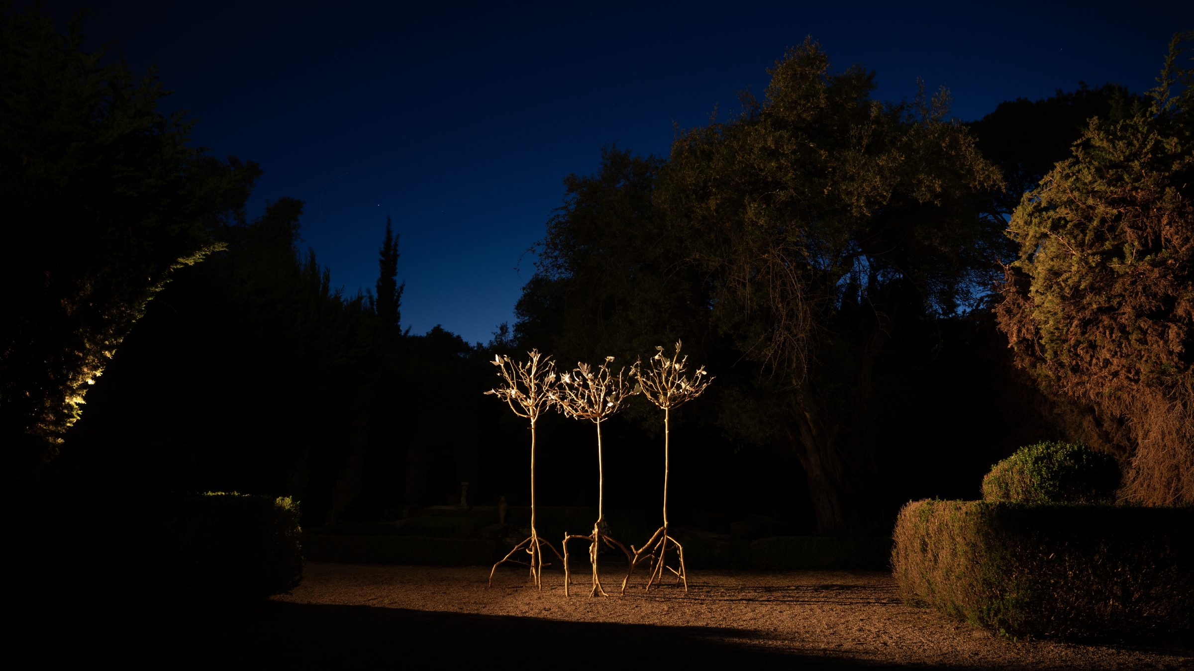 منظر من المعرض "forêt, tentative,"، معرض في Darmo، Bastide du Roy، أنتيب، 2024