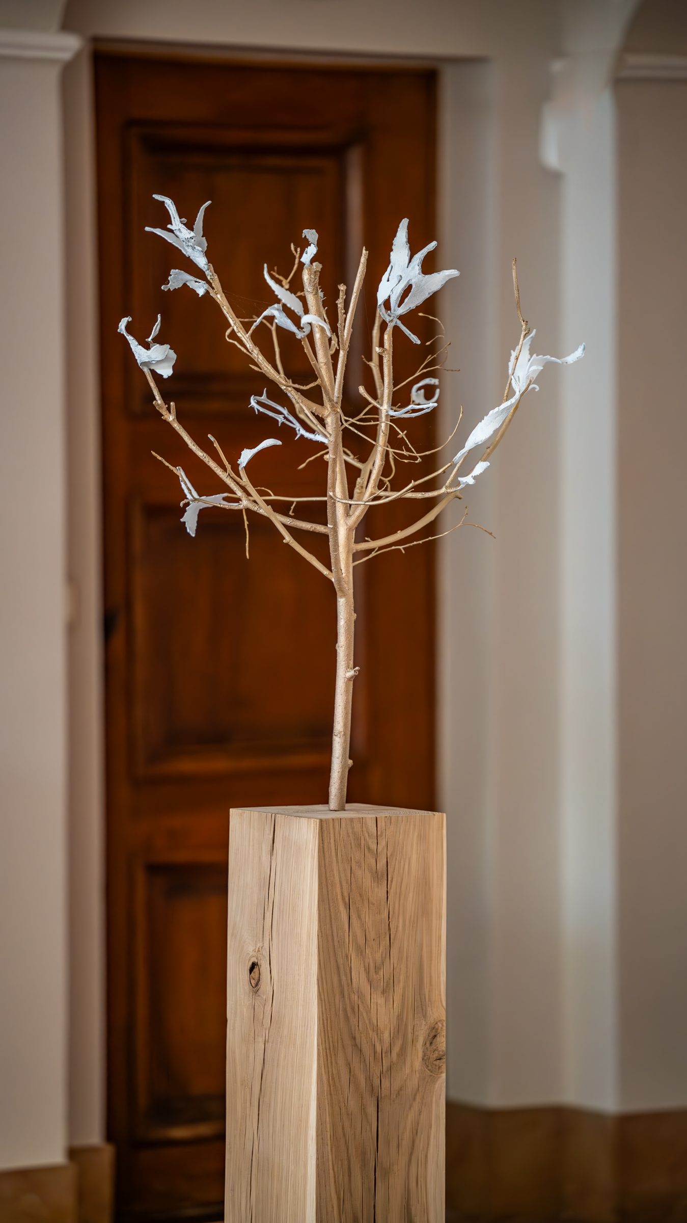 منظر من المعرض "forêt, tentative,"، معرض في Darmo، Bastide du Roy، أنتيب، 2024