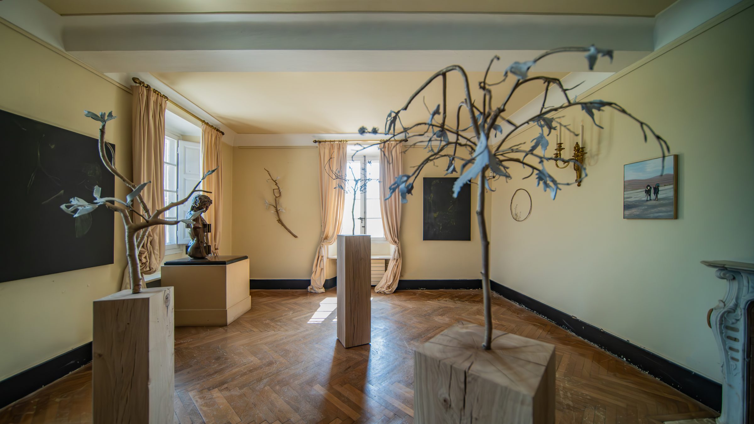 منظر من المعرض "forêt, tentative," معرض في Darmo، Bastide du Roy، أنتيب، 2024