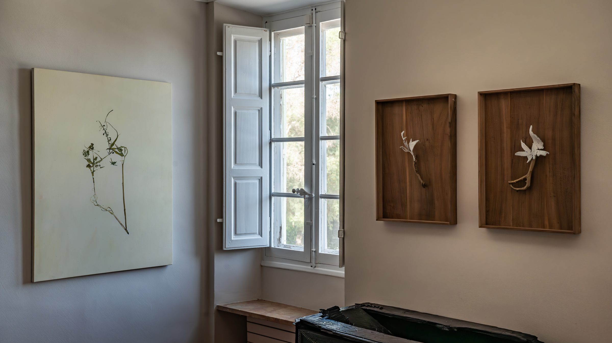 منظر لمعرض "forêt, tentative,"، معرض أقيم في Darmo، Bastide du Roy، أنتيب، 2024