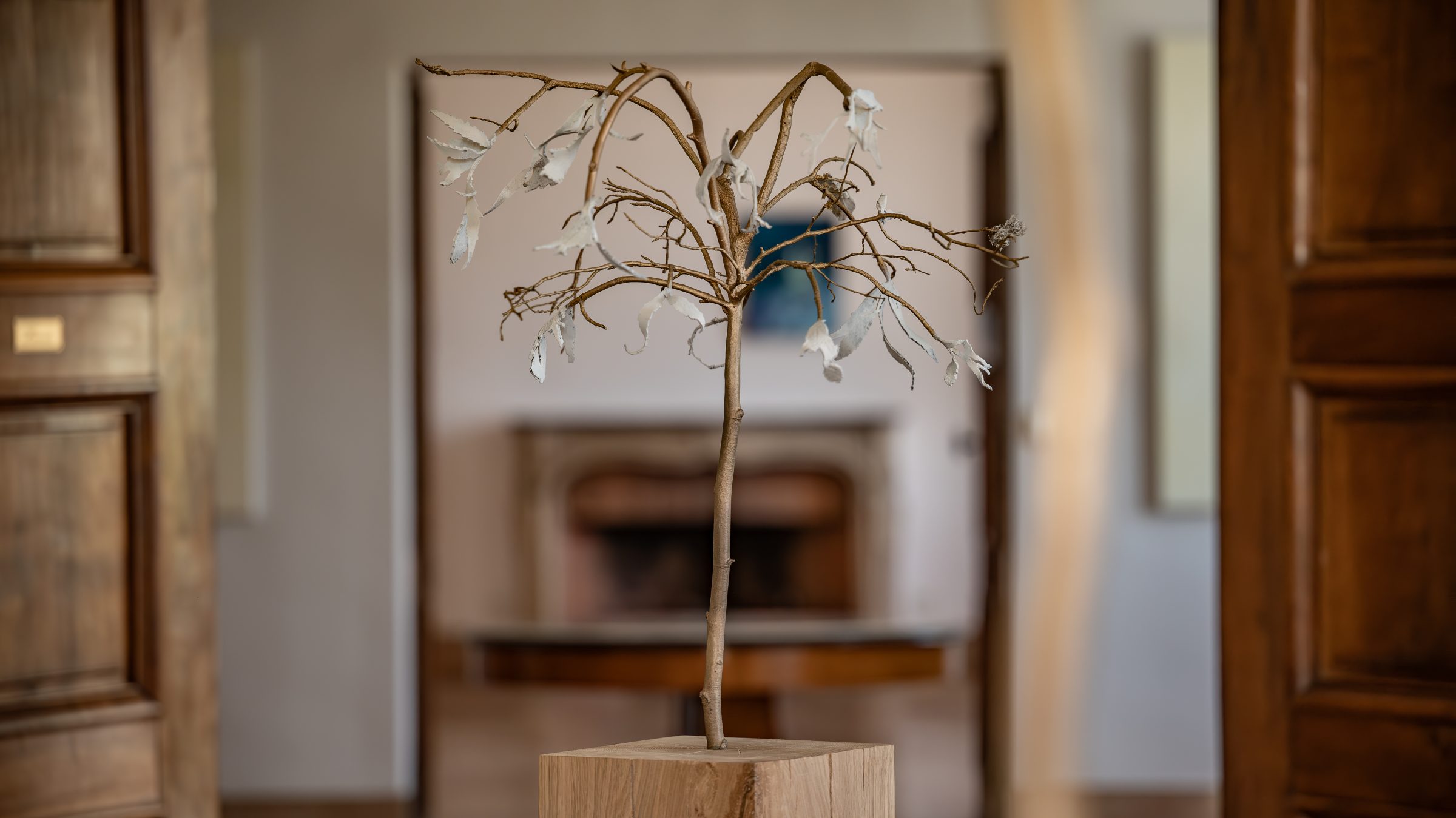 منظر من المعرض "forêt, tentative,"، معرض في Darmo، Bastide du Roy، أنتيب، 2024