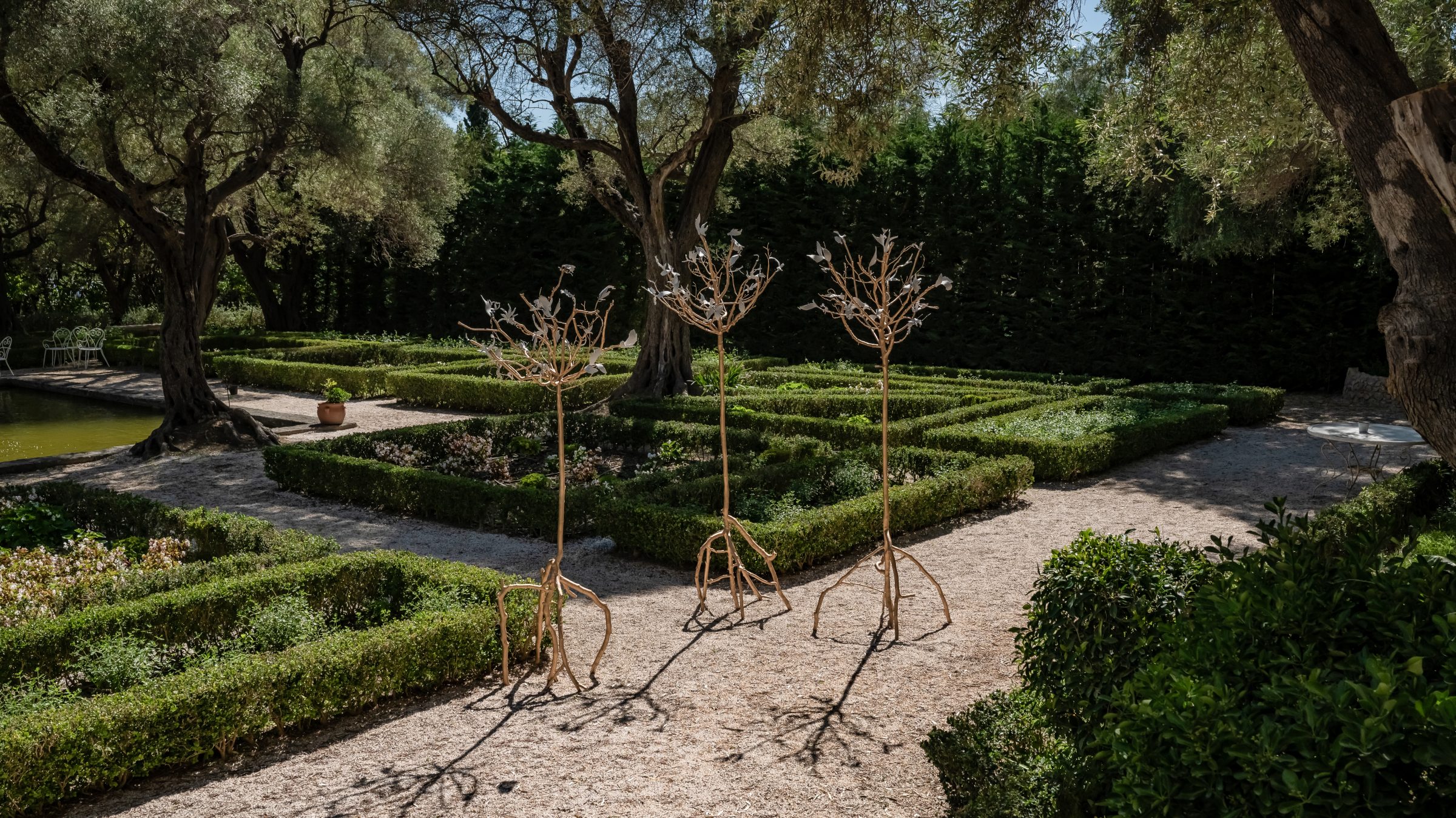 منظر من المعرض "forêt, tentative,"، معرض في Darmo، Bastide du Roy، أنتيب، 2024