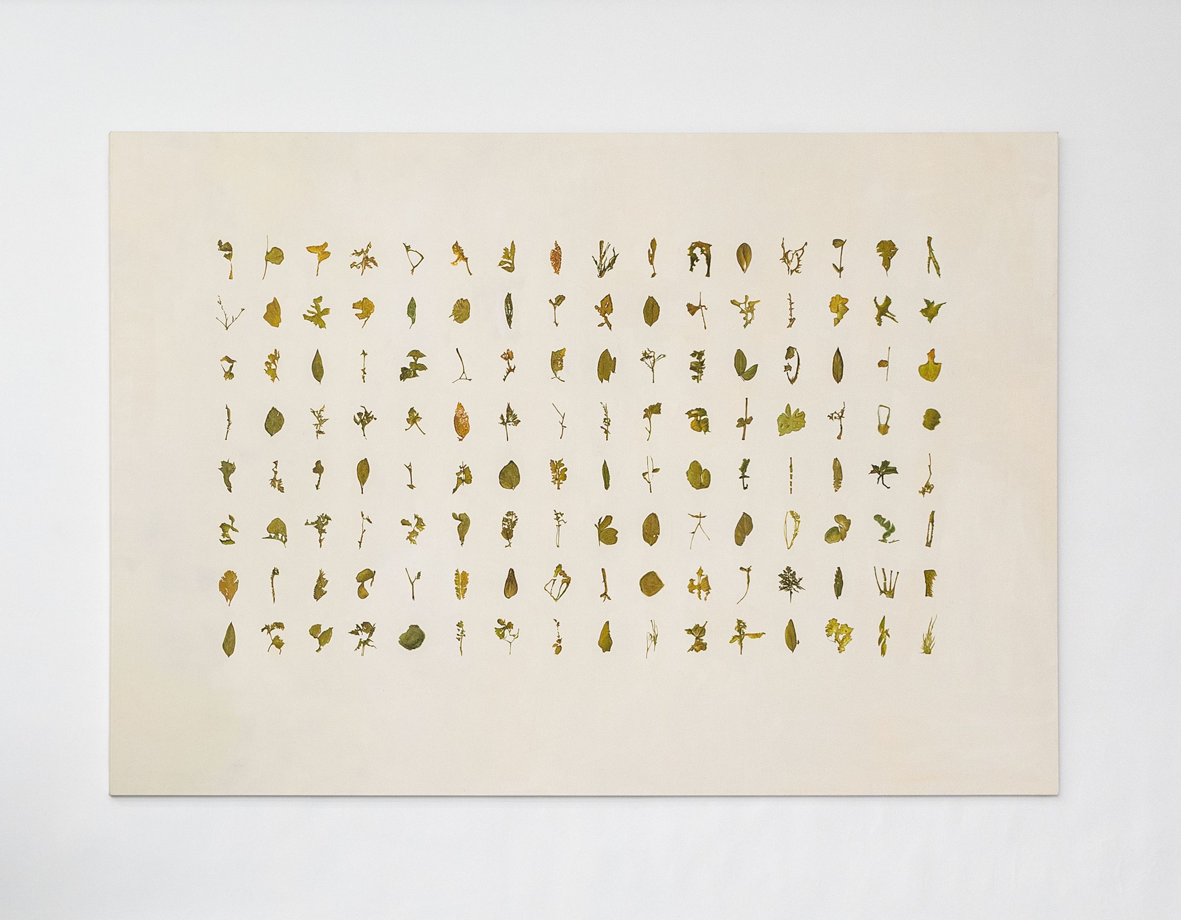 「Liminal Territories」展示風景、Filippo Lorenzinのキュレーションによるpal projectでの展覧会、パリ、2021年