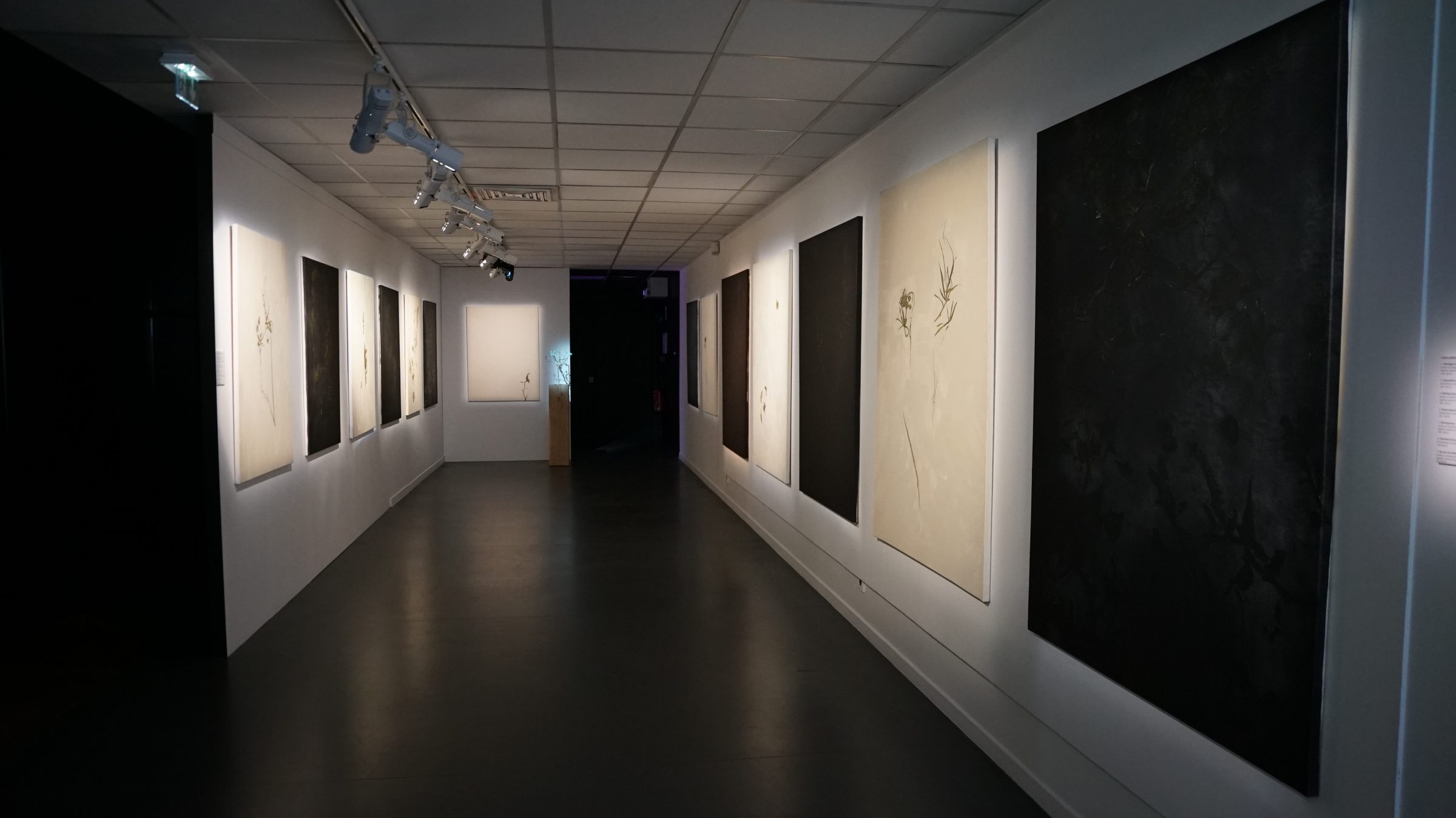 منظر من المعرض "MIRABIL-IA"، معرض أقيم في Centre des Arts، إنغيان، 2024