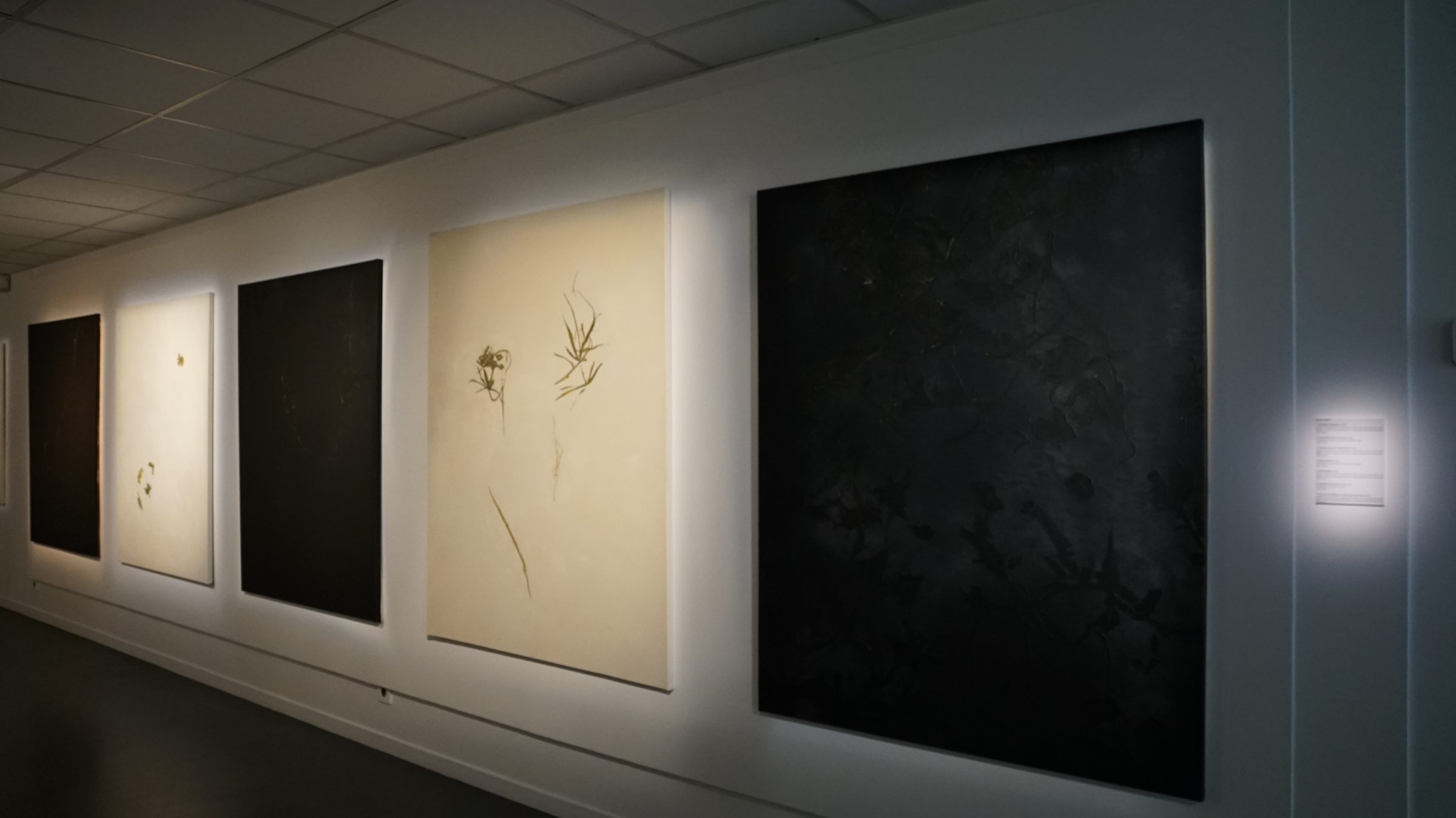 منظر عام لمعرض "MIRABIL-IA"، معرض أقيم في Centre des Arts، إنغيان، 2024