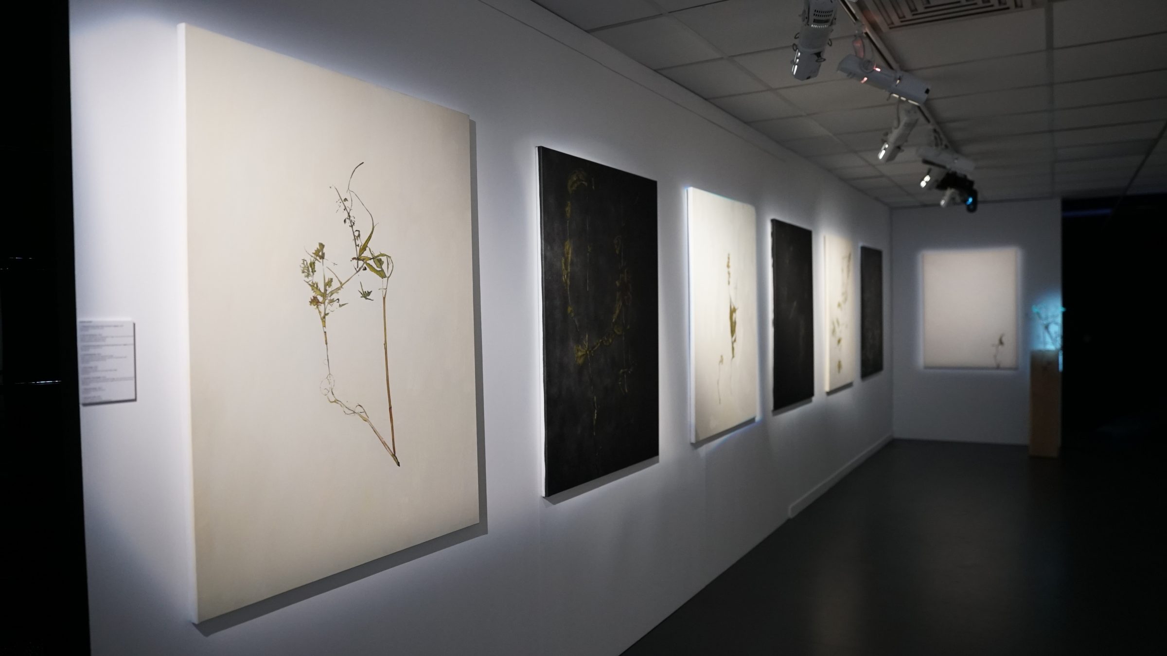 منظر من المعرض "MIRABIL-IA"، معرض أُقيم في Centre des Arts، أنغيان، 2024