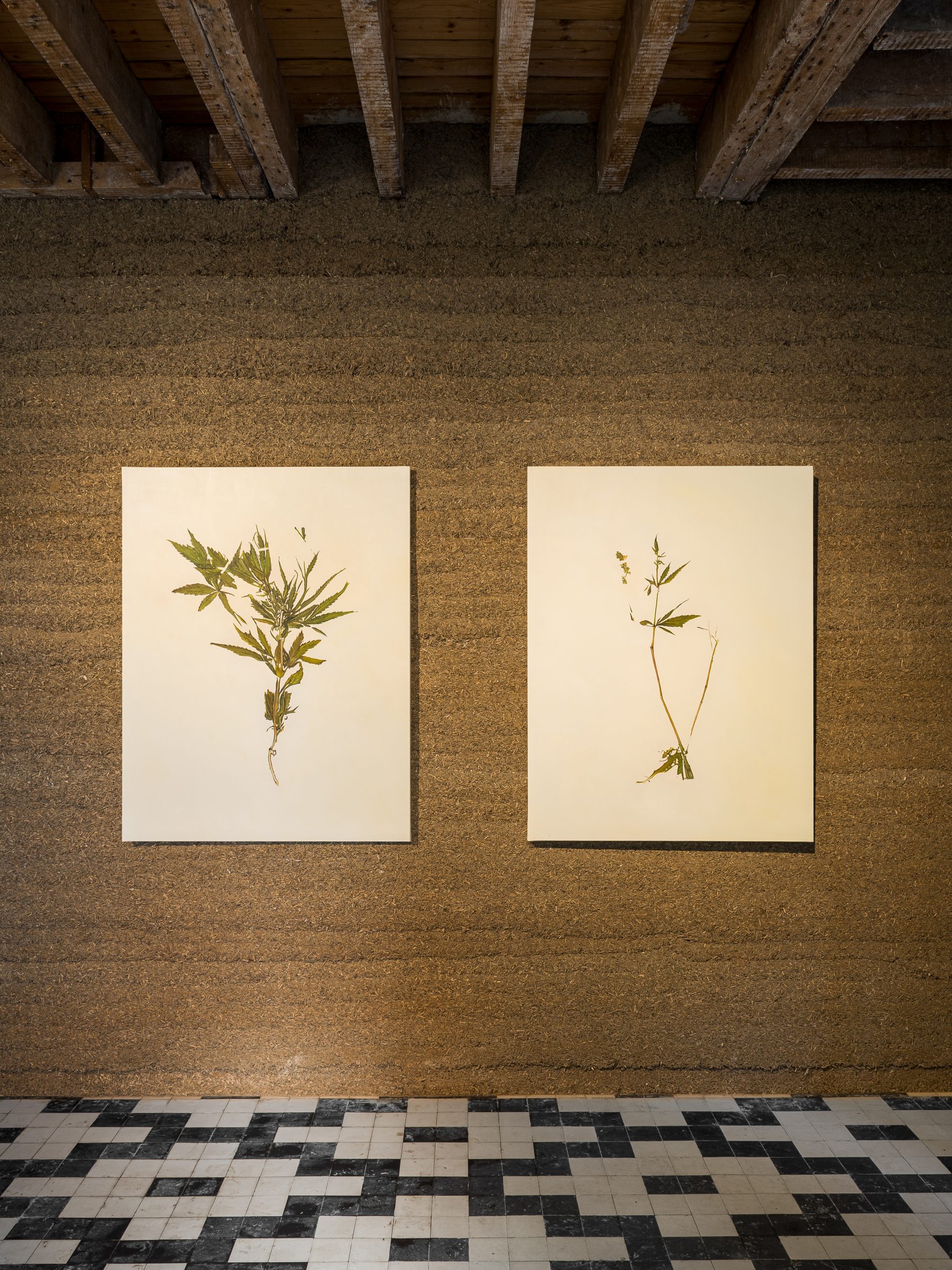 「ポテンシャル・ヘンプ」展の展示風景。Victoire de Pourtalès がキュレーションした 91530 LE MARAIS での展覧会、ル・ヴァル・サン・ジェルマン、2022年