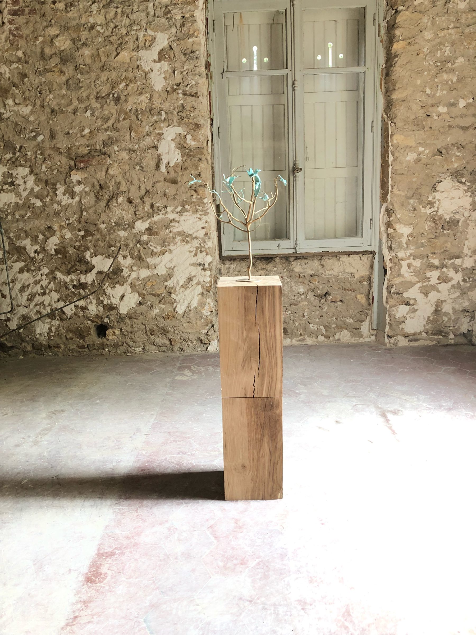 「Potential Hemp」展の展示風景、91530 LE MARAISにて開催、キュレーターVictoire de Pourtalès、ル=ヴァル=サン=ジェルマン、2022年