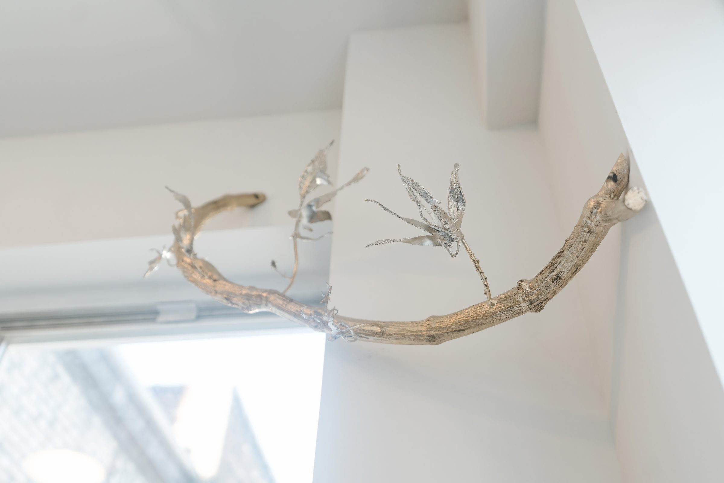 منظر المعرض من تنظيم aurèce vettier في صالة Galerie Georges-Philippe & Nathalie Vallois، نيويورك