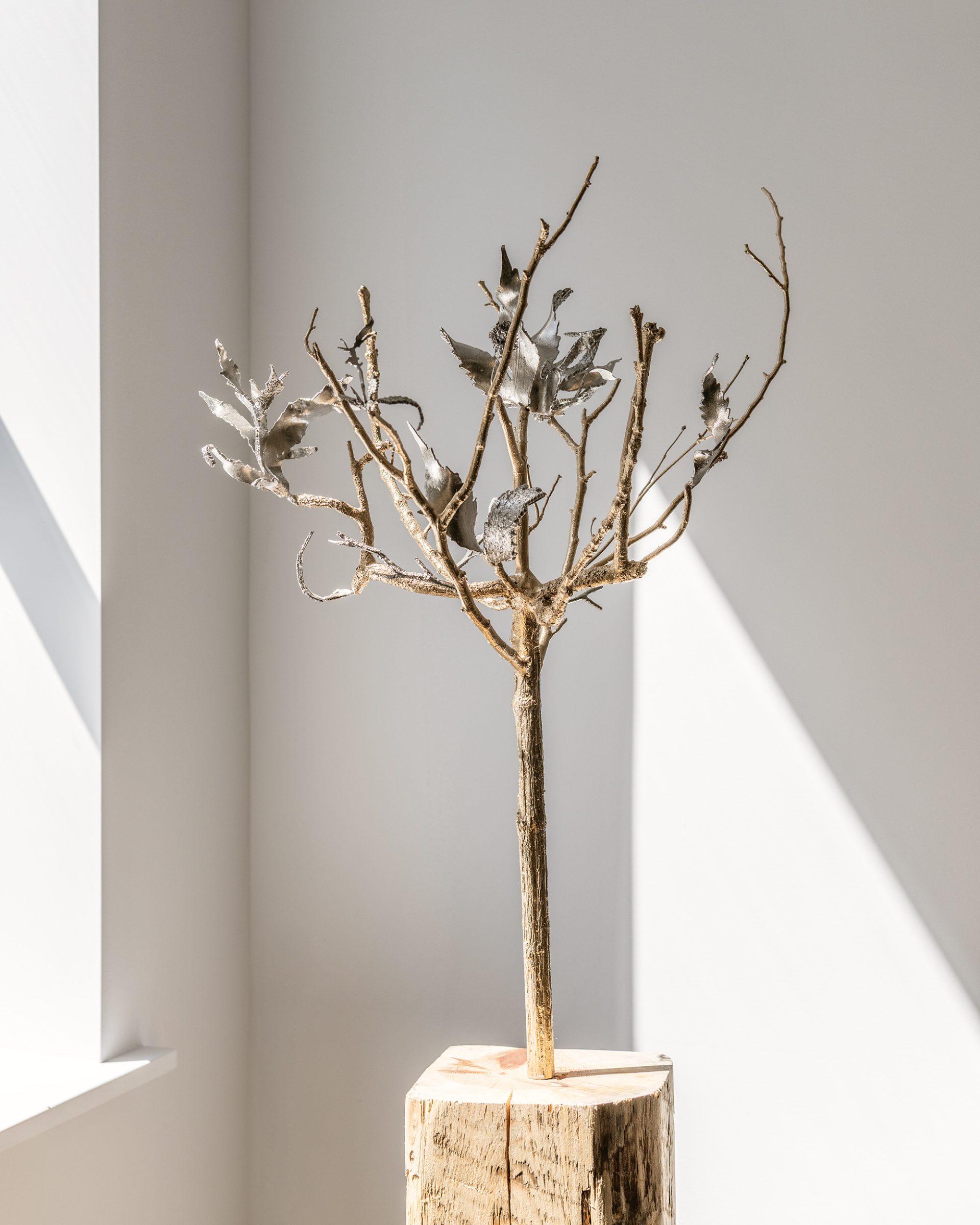 عرض المعرض لتثبيت The Spaceless Gallery في The Curator Lab، نيويورك، الولايات المتحدة الأمريكية، 2025