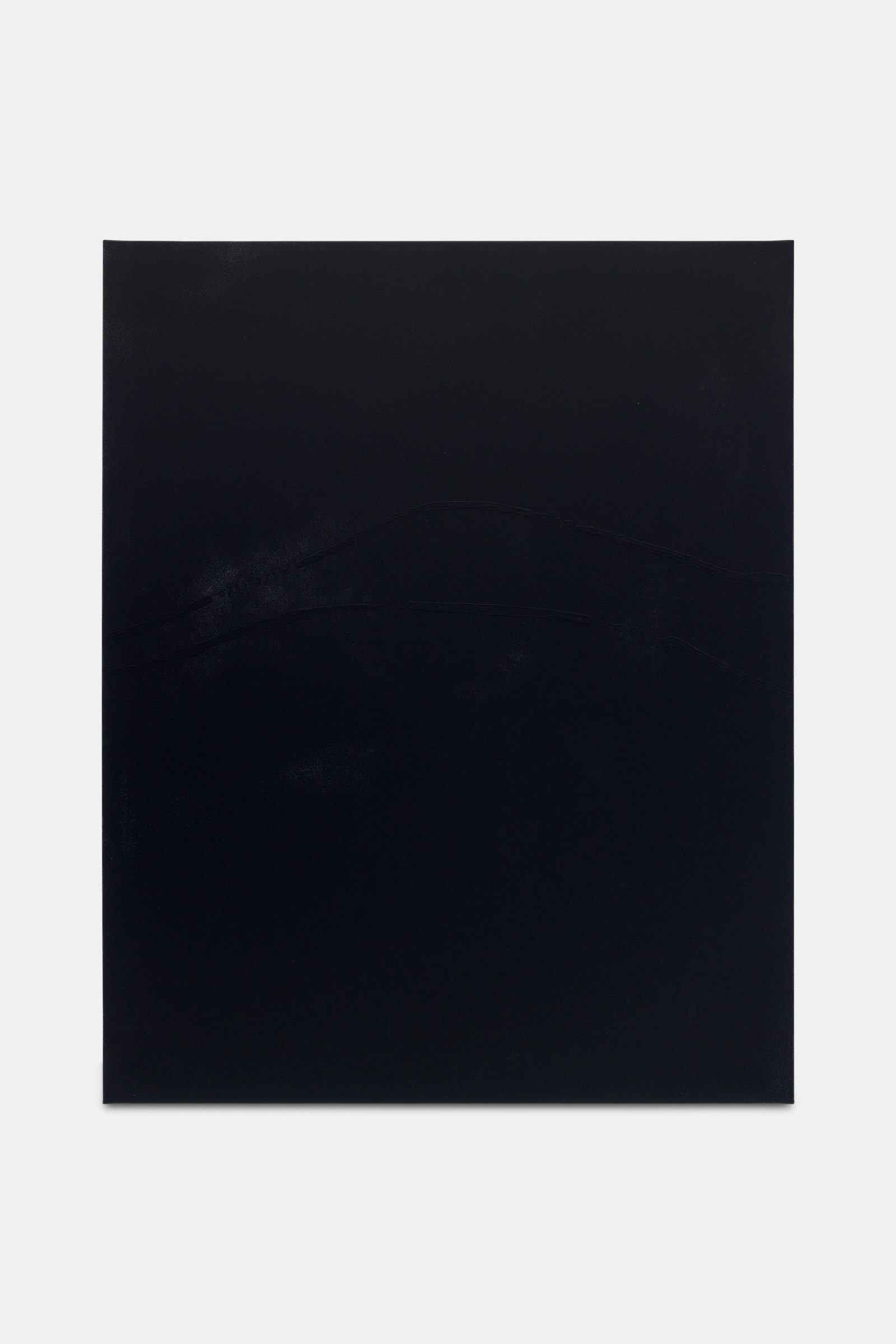 the light that is not seen (landscape), Acrylic on canvas from an AI-generated image, nano-structured ultra-back pigment, extract of AI-generated poem, AI-generated latent botanist writing, 150 x 120 cm, 2023, from the Black Paintings series