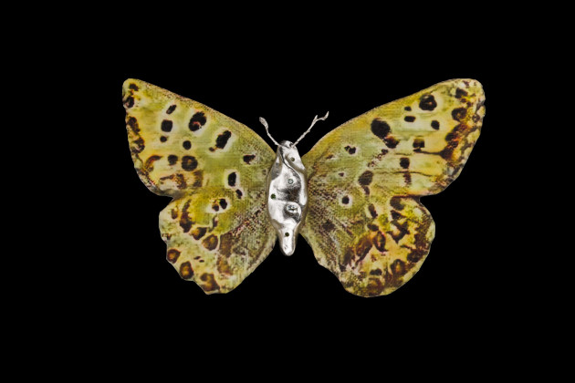 chrysodryas（赤い部屋、時間不詳）、パラジウムで金メッキされた青銅製の本体、ペリドット、青灰色サファイア、薄緑色サファイア、ホワイトトパーズ、緑色サファイアを嵌める；AIが生成したユニークなパターンの翼、ファイバー入りコリアンペーパーにアーカイバルピグメントプリント、20 x 20 cm、2024年、「不可能な蝶」シリーズより