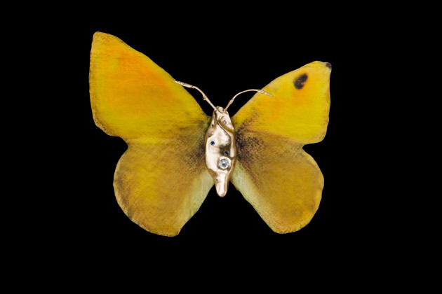 chrysodryas（彼女から送られた、アンジュ）、青銅製の本体を金でギルディング、淡青色サファイア、濃紺色サファイア、濃紺色サファイア、白いトパーズ、淡青色サファイアを使用した象嵌細工；ユニークなAI生成パターンの翅、アーカイバル顔料印刷、繊維質韓紙にプリント、20 x 20 cm、2024年、「Impossible Butterflies」シリーズより