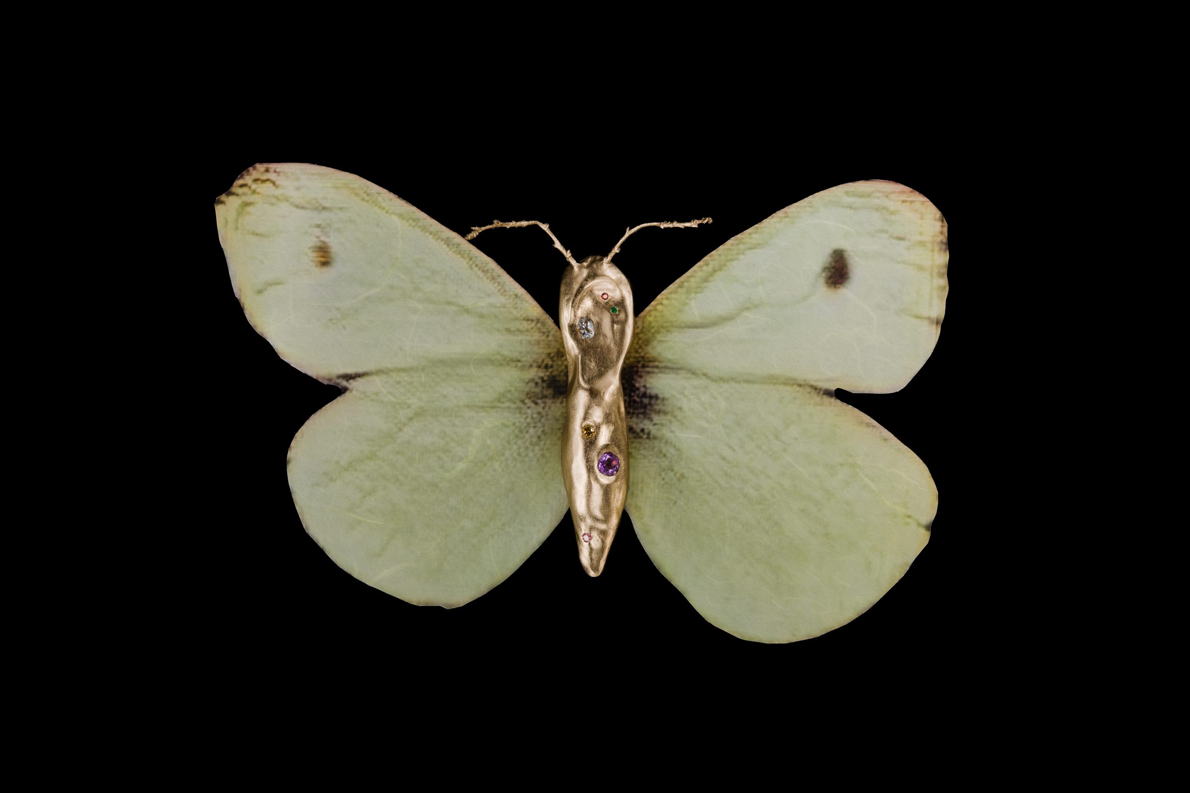lunamare caelestis（梵蒂冈玫瑰之中），青铜镀金身体，镶嵌红宝石、祖母绿、白托帕石、黄色黄晶、紫晶、粉色电气石；翅膀采用独特的AI生成图案，档案级颜料微喷纸张（韩国纤维纸），20 x 20 厘米，2024年，来自《不可能的蝴蝶》系列