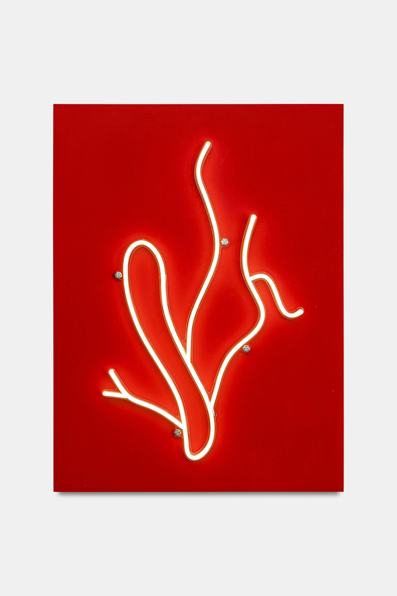 손 (인덱스), AI 생성 형태의 LED 네온, 나무 상자 위의 글리세롤 페인트, 80 x 60 cm, 2024, 네온 시리즈에서