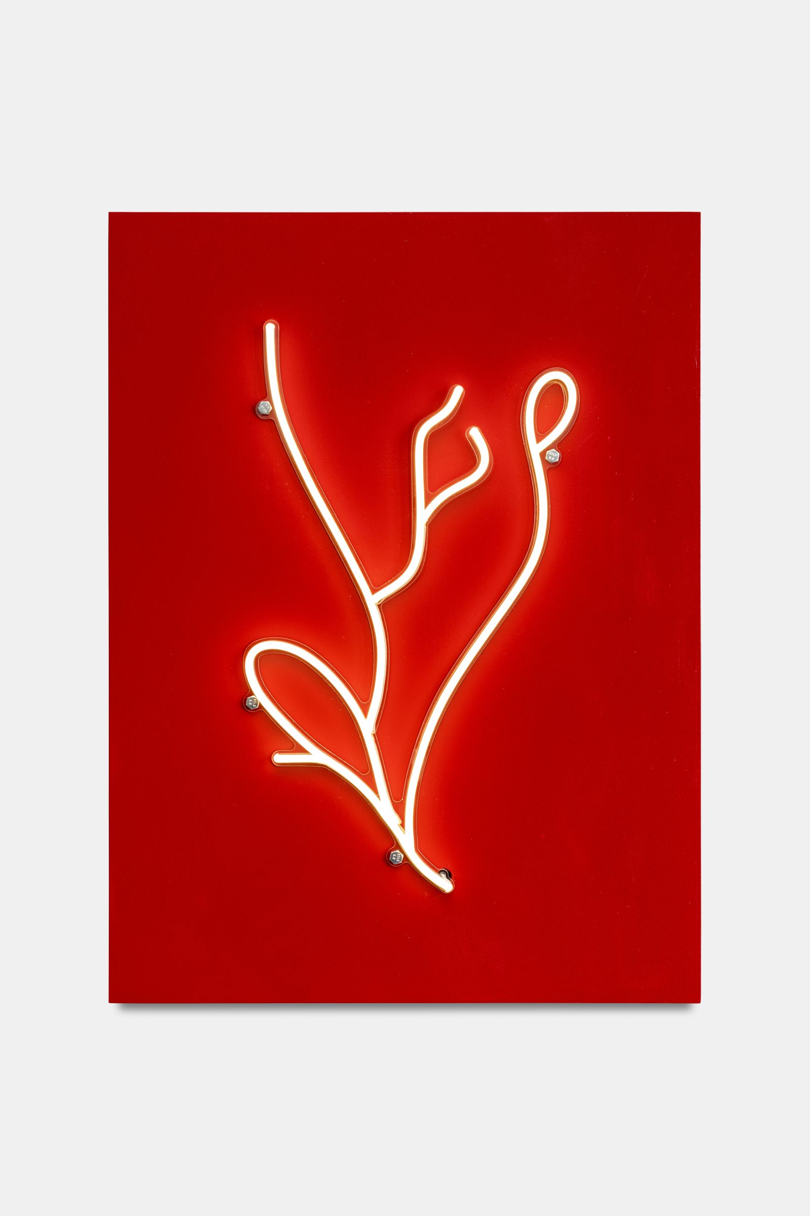 la main (pouce), AI 생성 형태의 LED 네온, 나무 상자에 글리세롤 페인트, 80 x 60 cm, 2024, 네온 시리즈에서