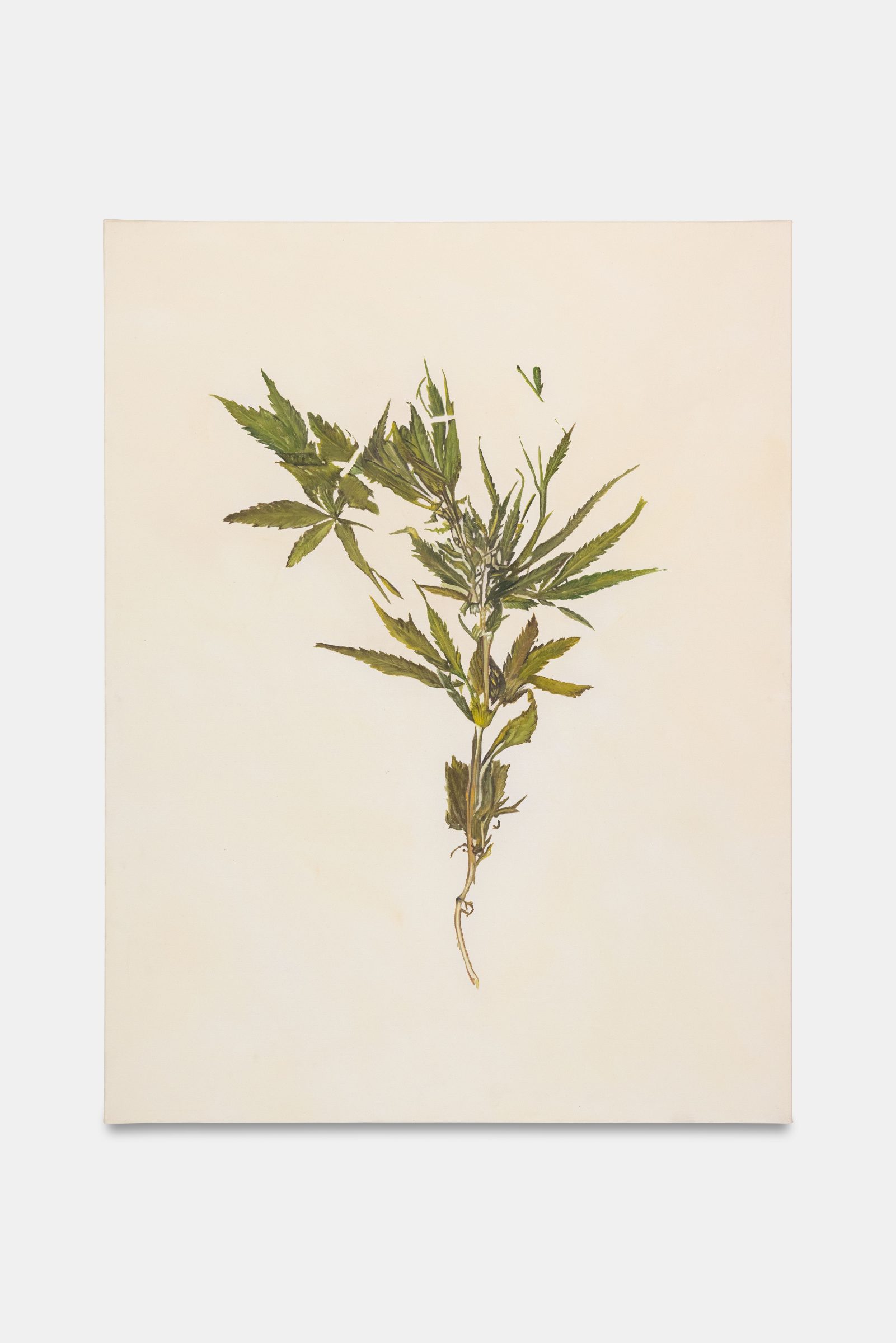 잠재적 헴프 (낡은 포르셰를 타며 표류하다), AI 생성 형식의 캔버스 유채, 120 x 90 cm, 2022, 회화 시리즈에서