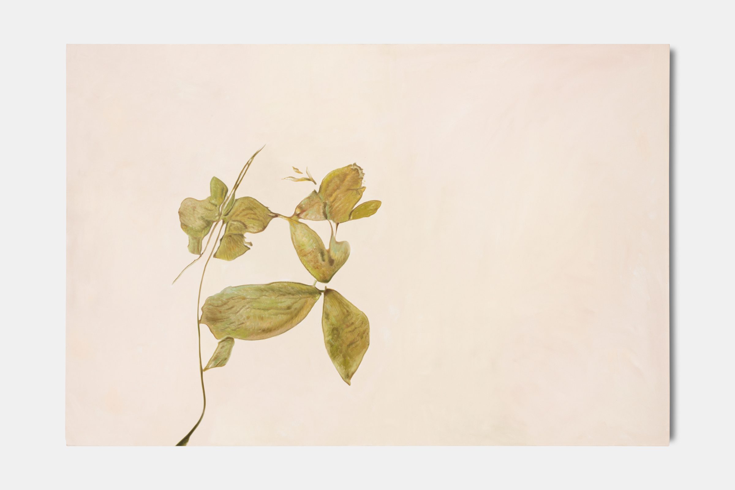 미지의 샘플 (중고도), AI 생성 형태의 캔버스 유화, 122 x 183 cm, 2021, 회화 시리즈에서