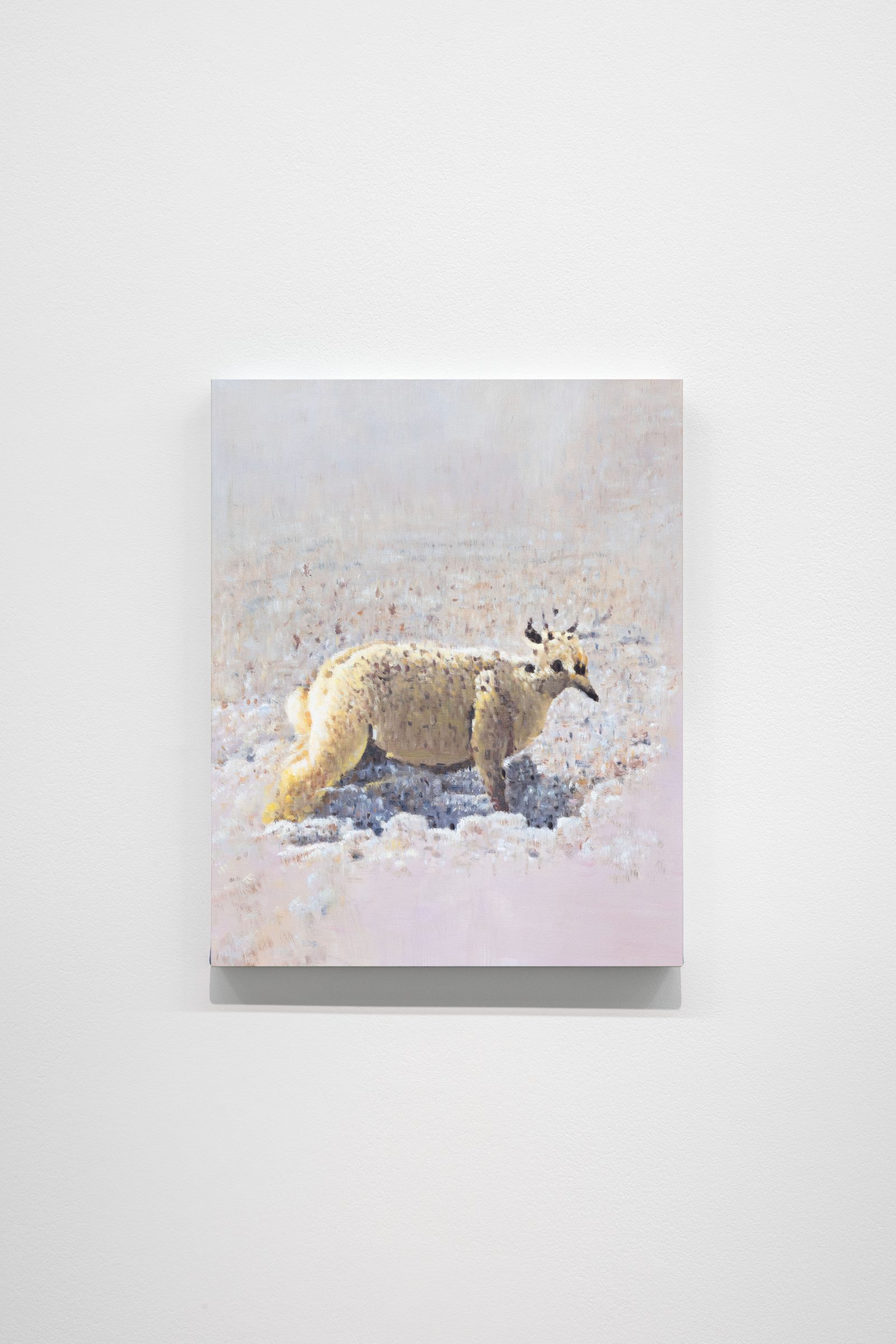 a bewildering creature found in the desert (attempt), Oil on canvas from an AI-generated image, 50 x 40 cm, 2024, from the le travail des rêves series