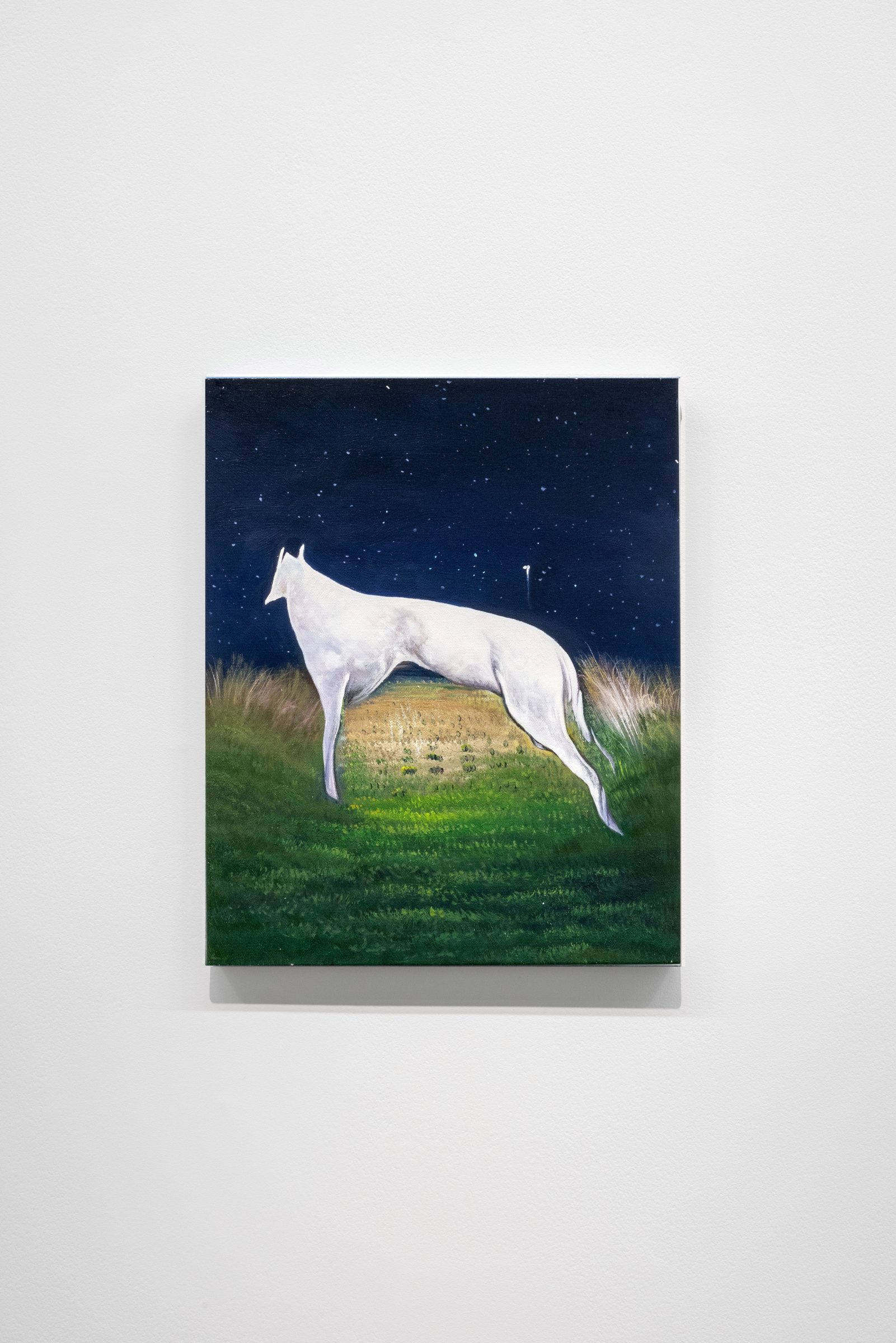 a flamboyant borzoi in a grass field in the heart of the night (attempt), Oil on canvas from an AI-generated image, 50 x 40 cm, 2024, from the le travail des rêves series
